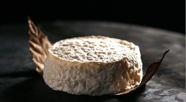 Le Mothais sur feuille obtient son Appellation d’Origine Contrôlée