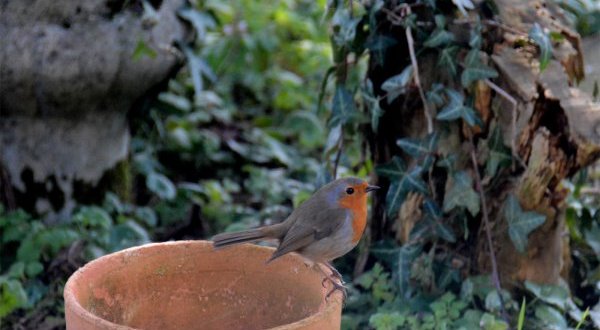 48 heures nature en Deux-Sèvres, du 29 septembre au 1er octobre
