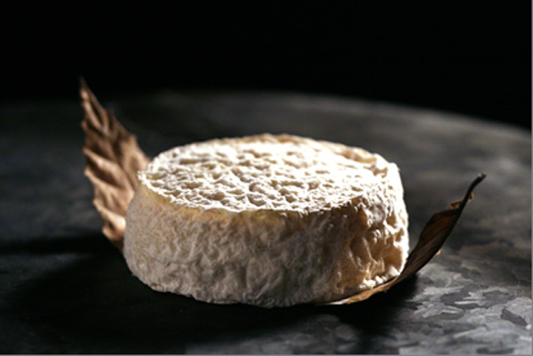 Le Mothais sur feuille obtient son Appellation d’Origine Contrôlée