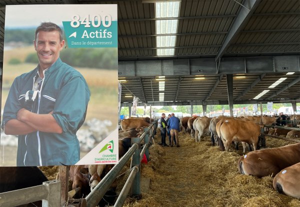 Pays de Gâtine : l’agriculture fait son festival à Parthenay