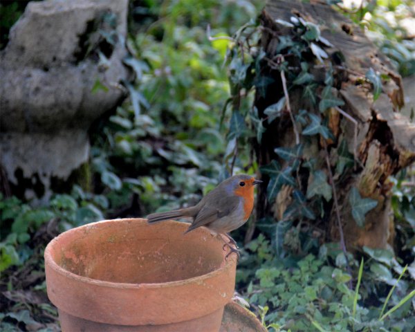 48 heures nature en Deux-Sèvres, du 29 septembre au 1er octobre